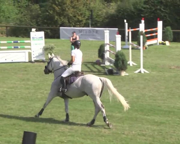Leonberger Reiterspiele 2016