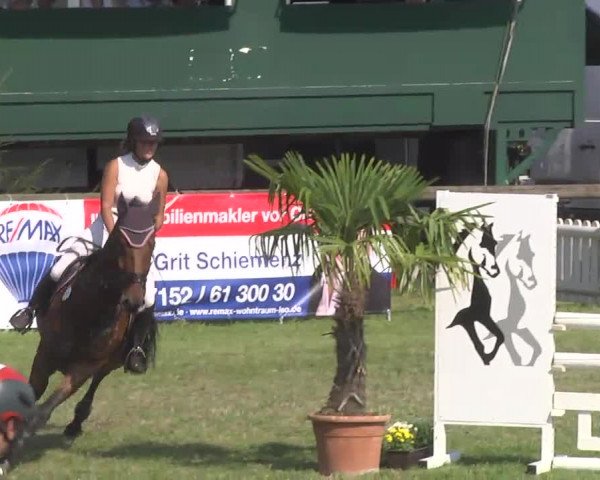 Leonberger Reiterspiele 2016