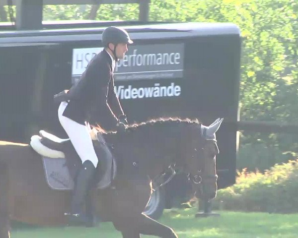 Leonberger Reiterspiele 2016