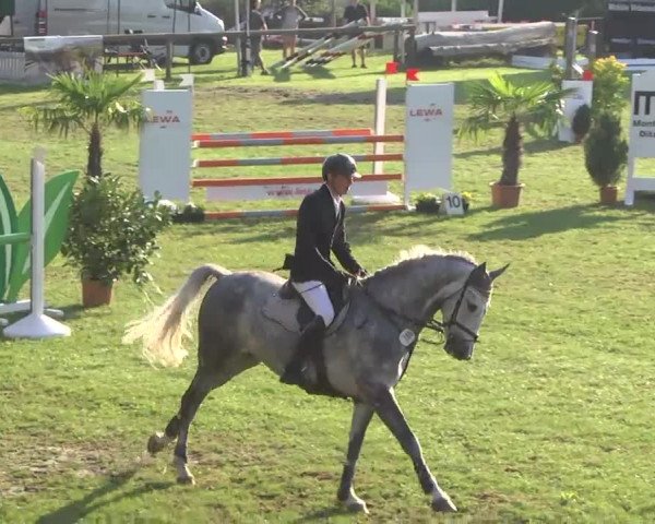 Leonberger Reiterspiele 2016