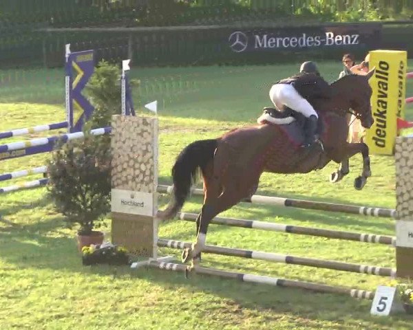 Leonberger Reiterspiele 2016