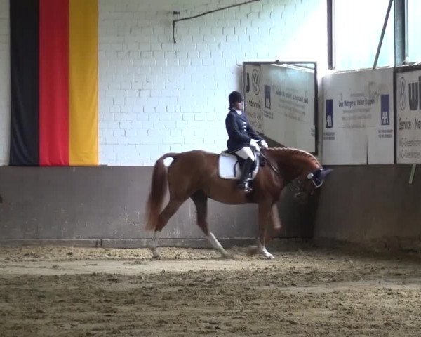 Kreisturnier des KPSV Neuss 2016