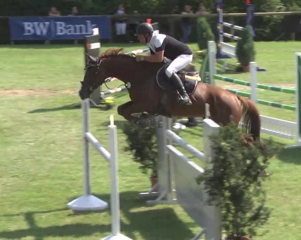 Leonberger Reiterspiele 2016