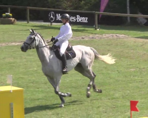 Leonberger Reiterspiele 2016