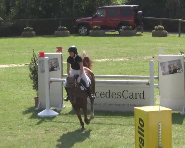 Leonberger Reiterspiele 2016