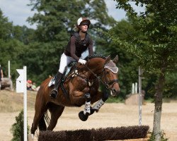 broodmare Basta 7 (Westphalian, 2009, from Landacord)