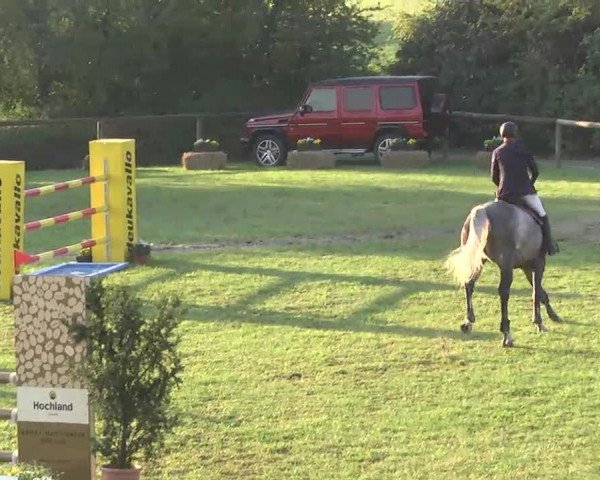 Leonberger Reiterspiele 2016