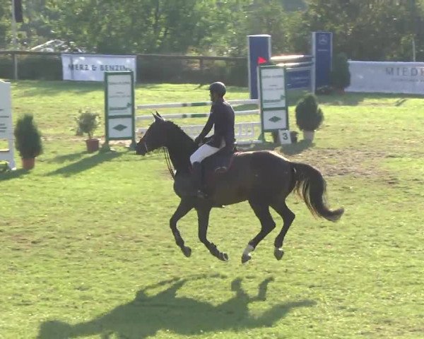 Leonberger Reiterspiele 2016