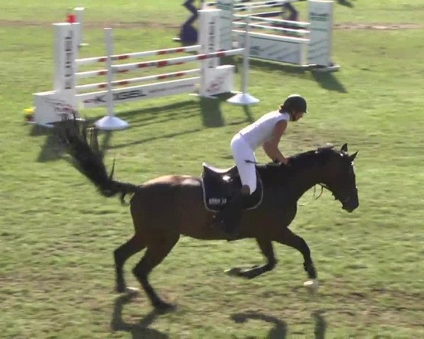 Leonberger Reiterspiele 2016