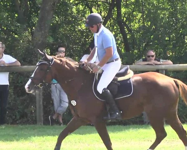 Leonberger Reiterspiele 2016