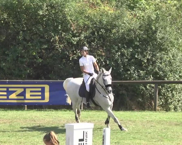 Leonberger Reiterspiele 2016