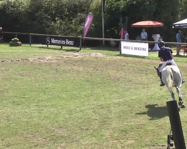 Leonberger Reiterspiele 2016