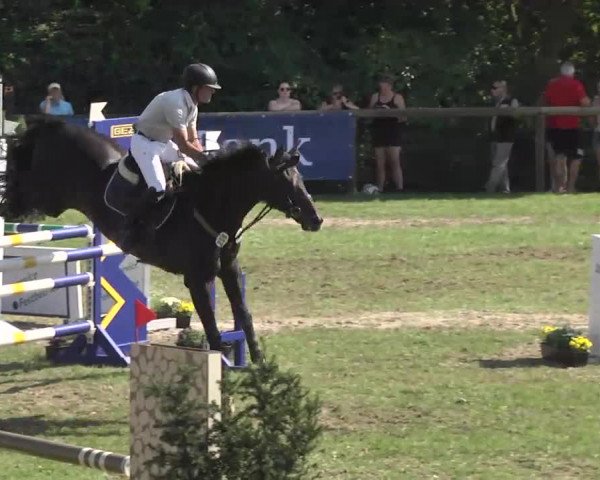 Leonberger Reiterspiele 2016
