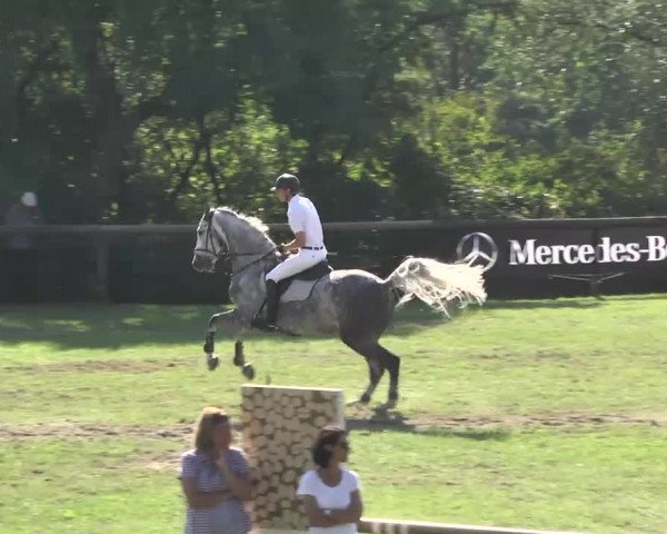 Leonberger Reiterspiele 2016