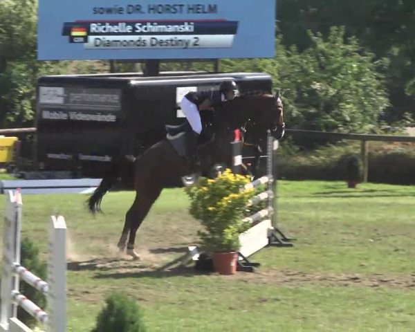 Leonberger Reiterspiele 2016