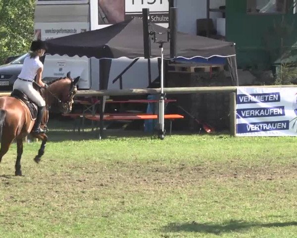 Leonberger Reiterspiele 2016