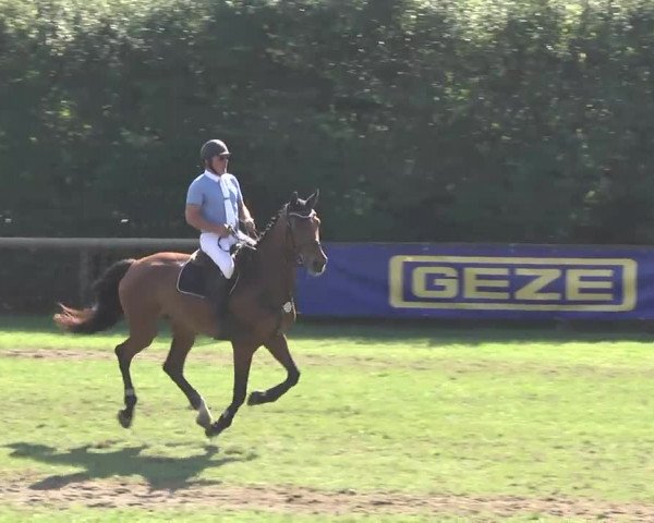 Leonberger Reiterspiele 2016