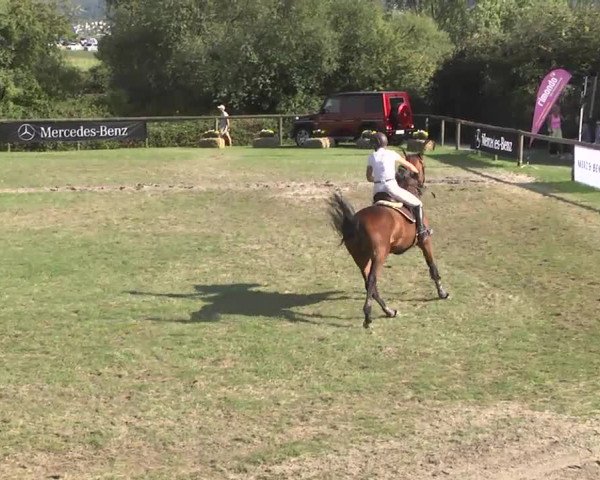 Leonberger Reiterspiele 2016