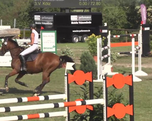 Leonberger Reiterspiele 2016
