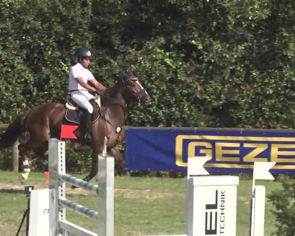 Leonberger Reiterspiele 2016