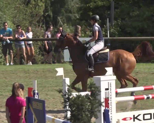 Leonberger Reiterspiele 2016