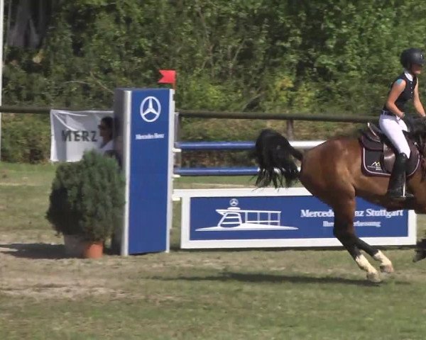 Leonberger Reiterspiele 2016
