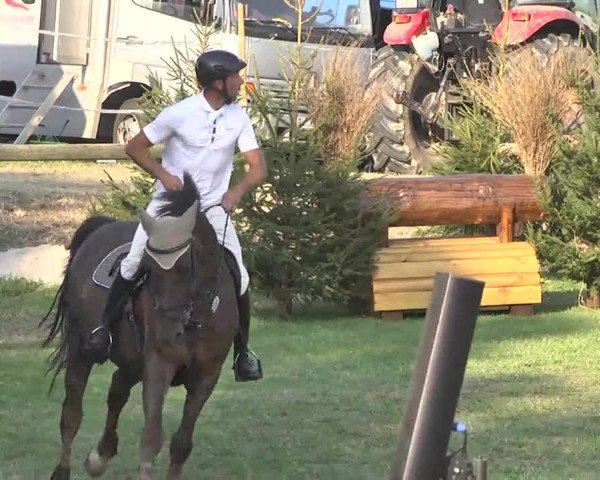 Leonberger Reiterspiele 2016