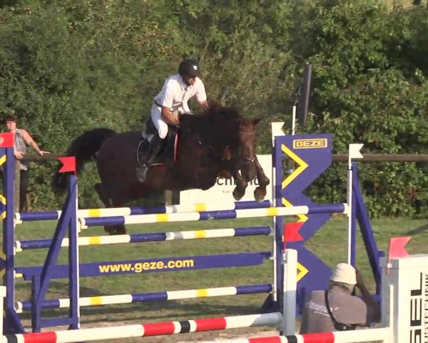 Leonberger Reiterspiele 2016
