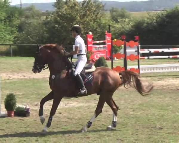 Leonberger Reiterspiele 2016