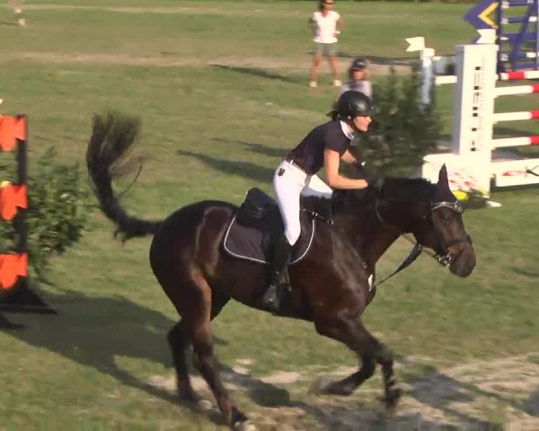 Leonberger Reiterspiele 2016