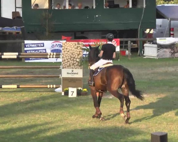 Leonberger Reiterspiele 2016
