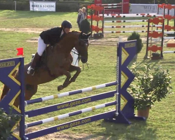 Leonberger Reiterspiele 2016