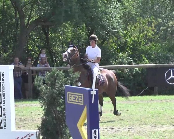 Leonberger Reiterspiele 2016