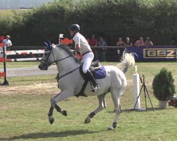 Leonberger Reiterspiele 2016