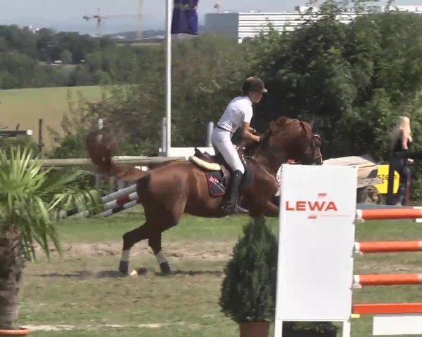 Leonberger Reiterspiele 2016