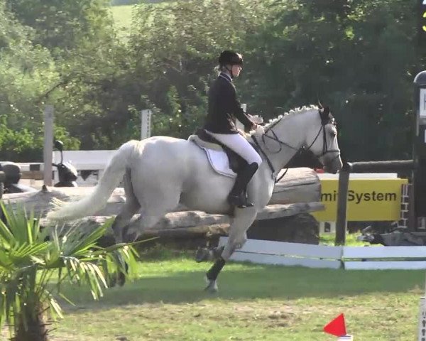 Leonberger Reiterspiele 2016