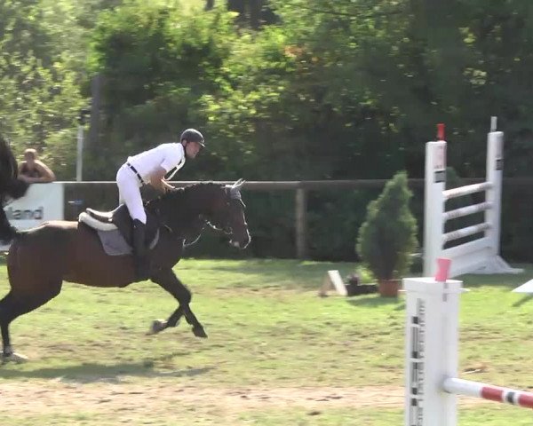 Leonberger Reiterspiele 2016