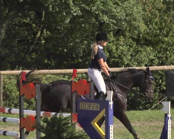 Leonberger Reiterspiele 2016