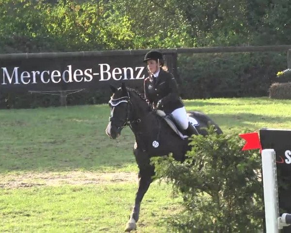 Leonberger Reiterspiele 2016