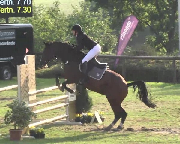 Leonberger Reiterspiele 2016