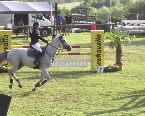Leonberger Reiterspiele 2016