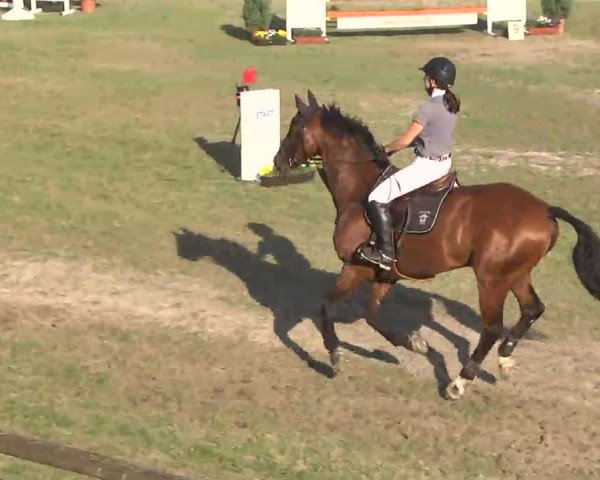 Leonberger Reiterspiele 2016