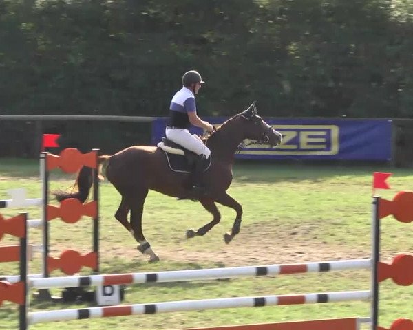 Leonberger Reiterspiele 2016
