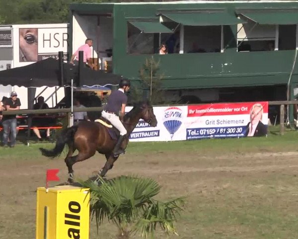 Leonberger Reiterspiele 2016