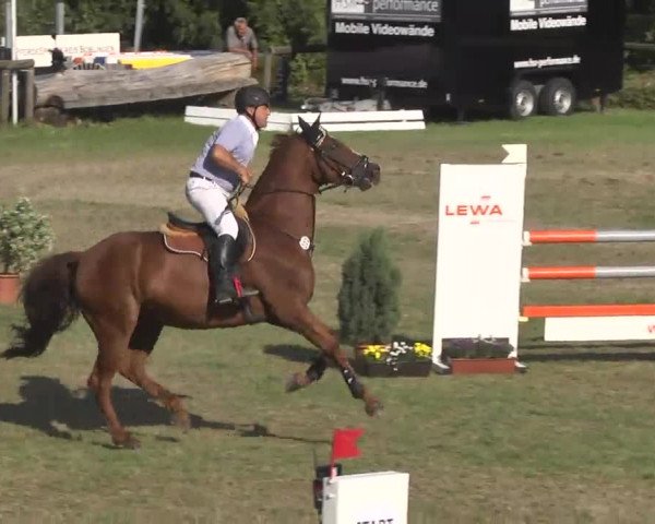 Leonberger Reiterspiele 2016