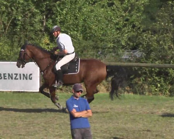 Leonberger Reiterspiele 2016