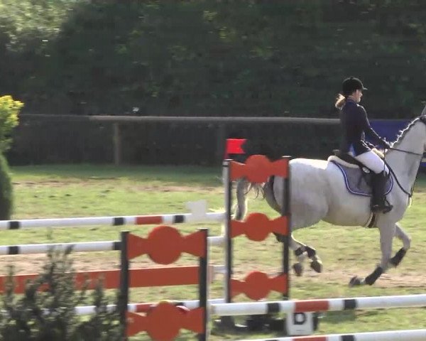 Leonberger Reiterspiele 2016