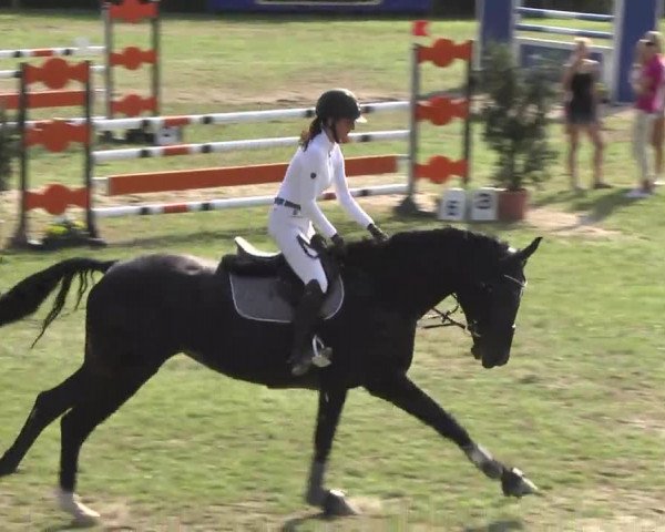 Leonberger Reiterspiele 2016