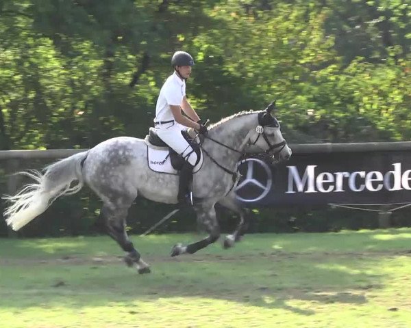 Leonberger Reiterspiele 2016