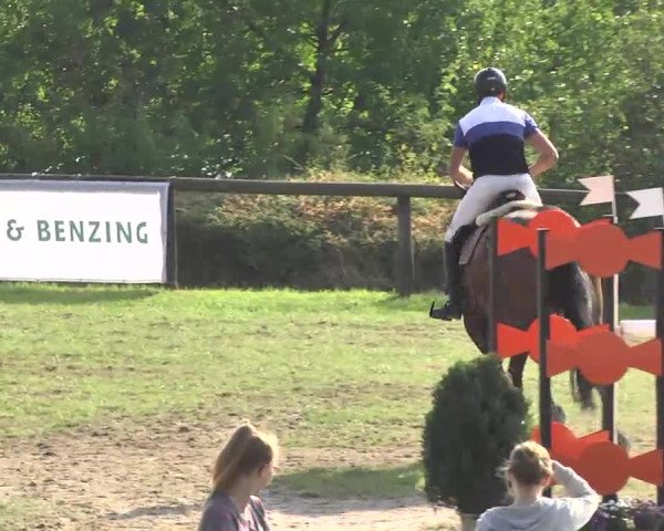 Leonberger Reiterspiele 2016